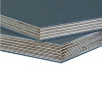 Panel VIBAPLY birch Panel VIBAPLY birch